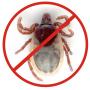 Обработка от клещей .
